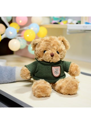 Vintage Sweater Teddy Bear Heart Hugging Seaweed Velvet Velvet Dressing Doll Logo Plush Toy-Color:Rose Velvet Twist Green Sweater-Height:30cm - pzsku/ZBFAE4E9D69B8DAE60AD4Z/45/1743170553/eebac392-a637-49e1-bc5d-c570f9426613
