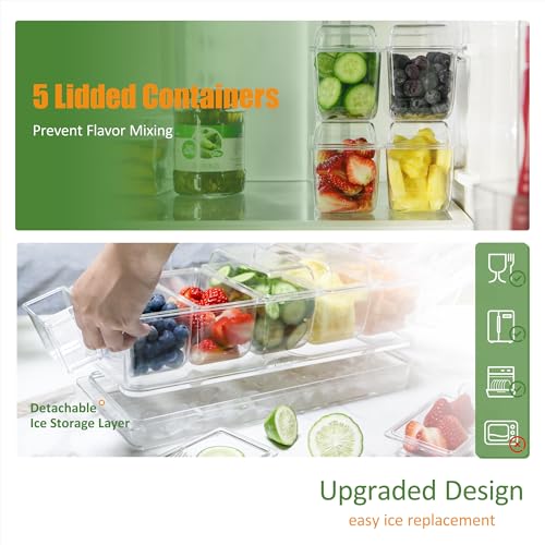 IVYHOME Chilled Condiment Server | Taco Bar Serving Set for Party | Chilled Condiment Tray with Lid and 5 Removable Compartments - Image 5