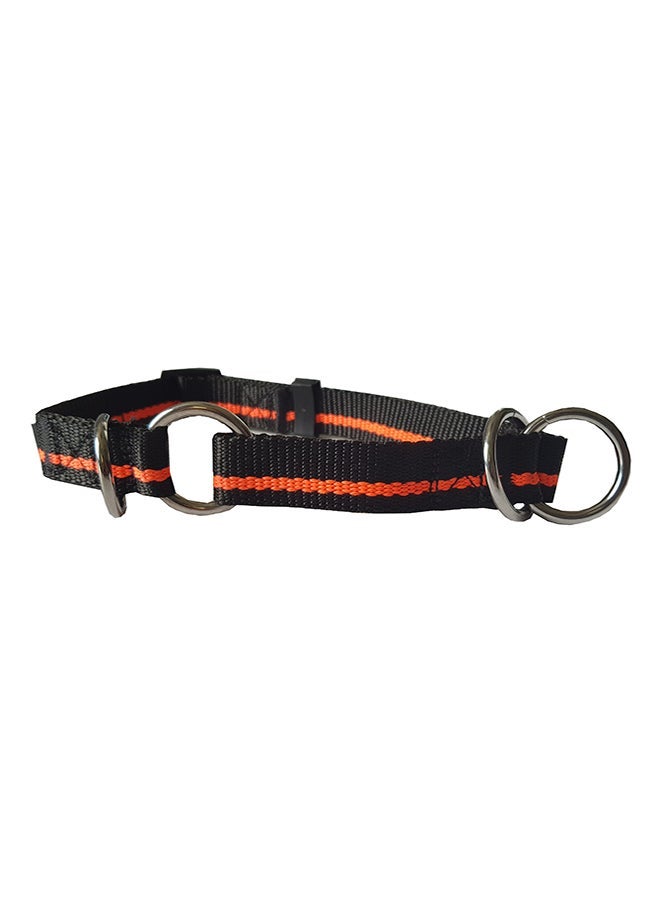 NIBEMINENT Pet Choke Collar Multicolour 31cm - Image 2