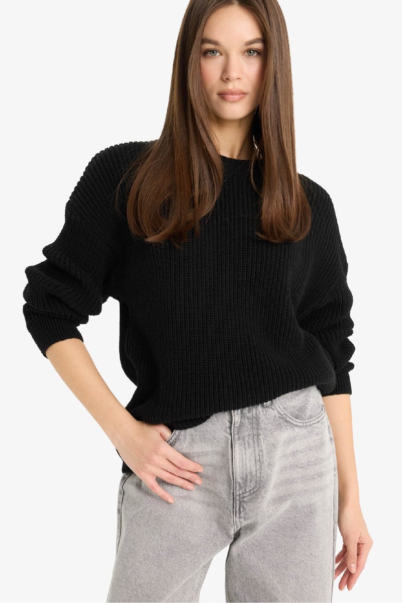 DeFacto Regular Fit Crew Neck Basic Knit Pullover - Image 1