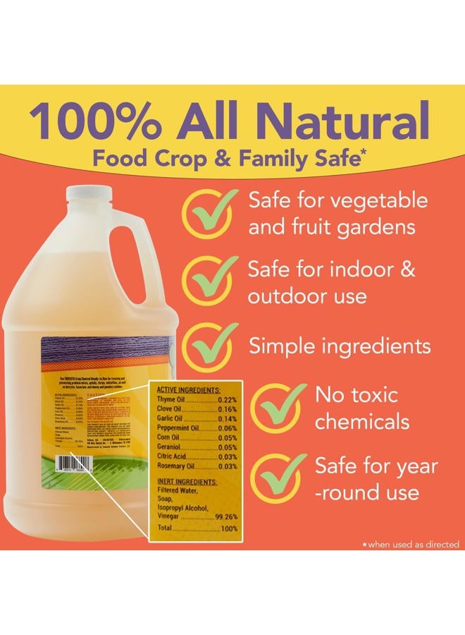 Trifecta Crop Control Insecticidal Soap for Plants | All Natural Fungicide for Plants | Spider Mite Killer Indoor Plants, Food Safe Commercial Grade Pesticide, Herbicide, Spider Mites Spray for Plants - Image 3