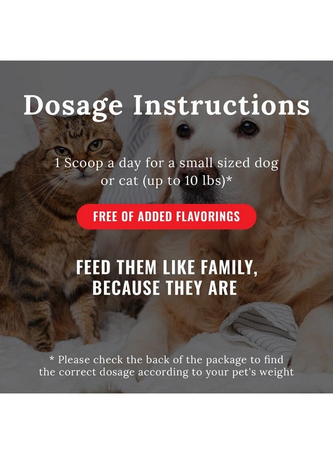 موجو مكمل موجو للمفاصل للكلاب والقطط، مكمل غذائي للورك والمفاصل للقطط والكلاب مع الجلوكوزامين والكوندرويتين، مكمل غذائي لتحسين حركة الكلاب والقطط (صغير، 8 أونصة) - Image 5