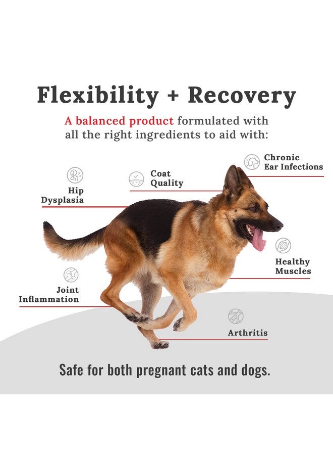 موجو مكمل موجو للمفاصل للكلاب والقطط، مكمل غذائي للورك والمفاصل للقطط والكلاب مع الجلوكوزامين والكوندرويتين، مكمل غذائي لتحسين حركة الكلاب والقطط (صغير، 8 أونصة) - Image 2