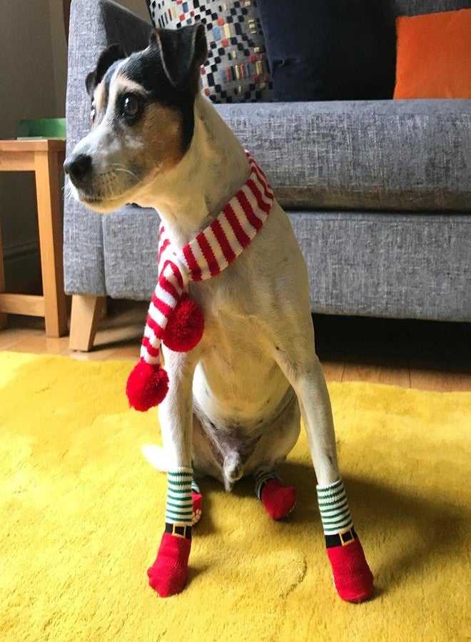 توكينج تيبلز جوارب كلاب مانعة للانزلاق من توكينج تيبلز بتصميم قزم أحمر وأخضر لعيد الميلاد | عبوة من 4 واقيات لأقدام الكلاب، مقاس صغير - متوسط، إكسسوارات احتفالية للحيوانات الأليفة لفصل الشتاء - Image 4