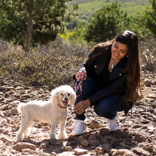Coastal Pet Styles Adjustable Dog Collar - Stylish Patterned Fabrics - Snap-Lock Buckle - Adjustable Dog Collar - for Small, Medium or Large Dogs - Red Bones - 3/8" x 08"-12" - Image 2