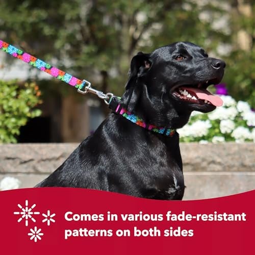 Coastal Pet Styles Adjustable Dog Collar - Stylish Patterned Fabrics - Snap-Lock Buckle - Adjustable Dog Collar - for Small, Medium or Large Dogs - Red Bones - 3/8" x 08"-12" - Image 5