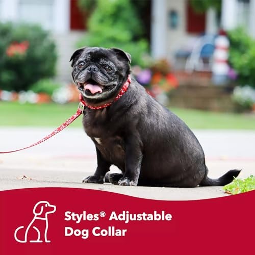Coastal Pet Styles Adjustable Dog Collar - Stylish Patterned Fabrics - Snap-Lock Buckle - Adjustable Dog Collar - for Small, Medium or Large Dogs - Red Bones - 3/8" x 08"-12" - Image 3