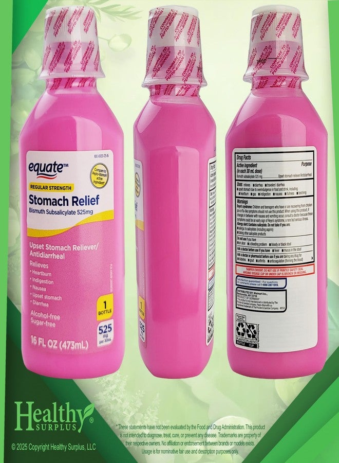 Healthy Surplus Equate Stomach Relief Liquid 16 FL OZ (473mL) Bismuth Subsalicylate 525mg and Vital Volumes Upset Stomach Tips Card Bundle - Image 2