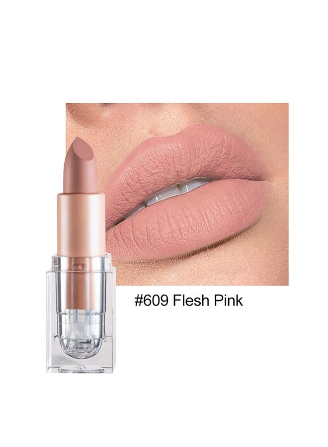 دي ان ام شفاه أحمر الشفاه غير اللامع غير اللامع شفة شفاهية غير متكافئة من الكأس عارية شفاه شفاه غير ماتي وصمة شفاه مقاومة للماء طويلة للنساء للبنات اليومية لمكياج الشفاه-اللحم الوردي - Image 2