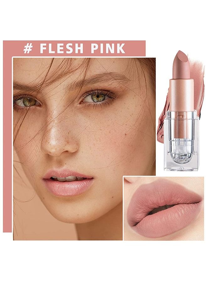 دي ان ام شفاه أحمر الشفاه غير اللامع غير اللامع شفة شفاهية غير متكافئة من الكأس عارية شفاه شفاه غير ماتي وصمة شفاه مقاومة للماء طويلة للنساء للبنات اليومية لمكياج الشفاه-اللحم الوردي - Image 3