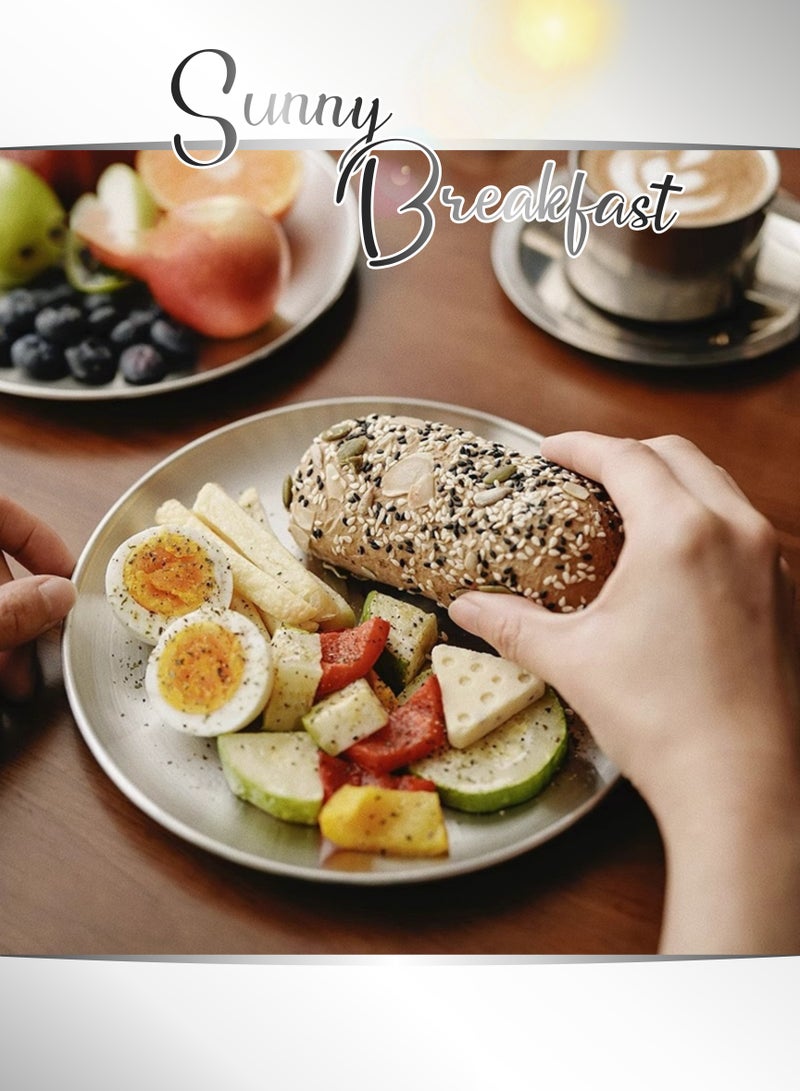 2 قطعة 26 سم مجموعة 304 أطباق عشاء مستديرة من الفولاذ المقاوم للصدأ ، خالية من الصدأ ، آمنة للغسل في غسالة الصحون ، طبق شواء ، طبق ستيك ، طبق حلوى ، صينية مسطحة القاع ، لوحة نزهة ، مضادة للصدأ ، متينة ، ناعمة ، لامعة ، تستخدم لتناول الطعام اليومي للعائلة ، التخييم في الهواء الطلق ، طلاء المطعم (حجم كبير ، 26 سم) - Image 4