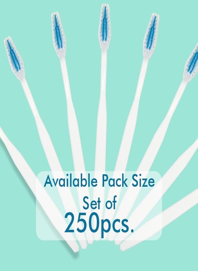 أولد تري مجموعة فرش أسنان فندقية من أولد تري (250 قطعة، بيضاء) - مثالية لمستلزمات الفنادق | لوازم الفنادق | مجموعة أدوات الضيافة | مجموعة أدوات النظافة الشخصية | النوادي | الفنادق | الاستخدام أثناء السفر | فرش أسنان بيضاء (بدون غطاء) - Image 4