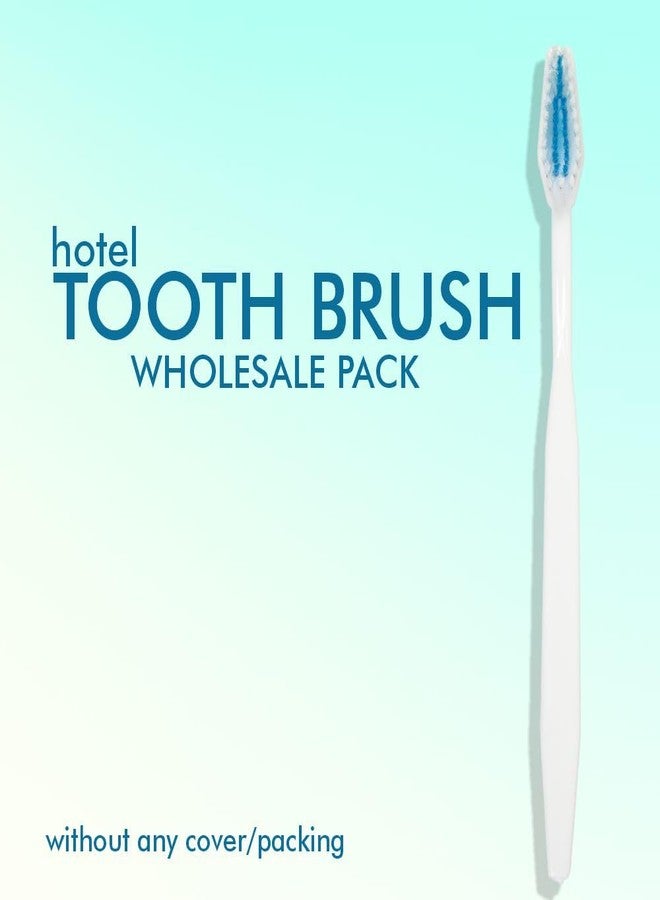 أولد تري مجموعة فرش أسنان فندقية من أولد تري (250 قطعة، بيضاء) - مثالية لمستلزمات الفنادق | لوازم الفنادق | مجموعة أدوات الضيافة | مجموعة أدوات النظافة الشخصية | النوادي | الفنادق | الاستخدام أثناء السفر | فرش أسنان بيضاء (بدون غطاء) - Image 5