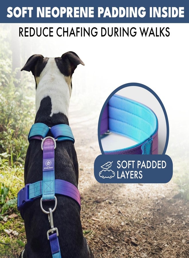 Spark Paws No Pull Dog Harness with Handle for Large Dogs, Heavy Duty Dog Harness for Big Strong Breeds, Adjustable, Y Shaped Padded Halter Design with Front Clip - 90s Retro - S - Image 5
