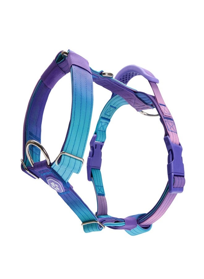 Spark Paws No Pull Dog Harness with Handle for Large Dogs, Heavy Duty Dog Harness for Big Strong Breeds, Adjustable, Y Shaped Padded Halter Design with Front Clip - 90s Retro - S - Image 1