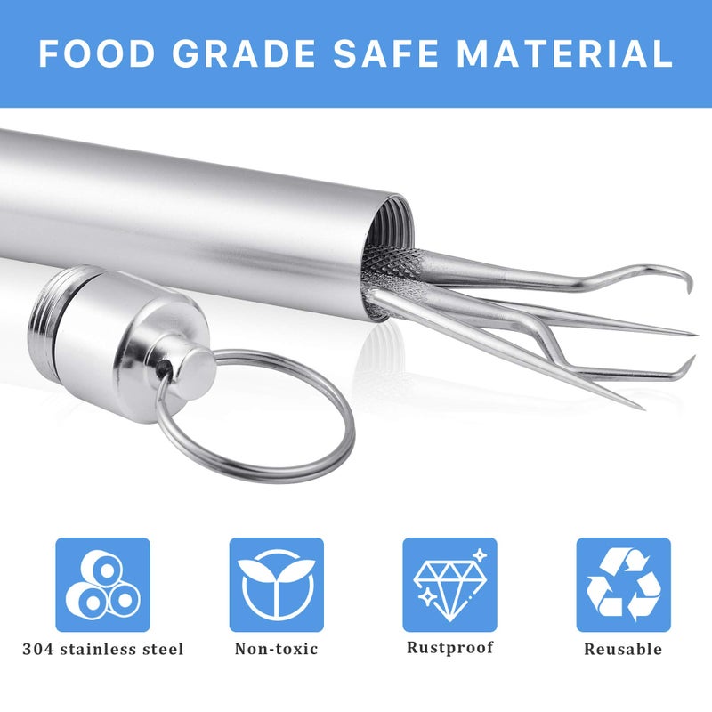 Worldity 5Pcs Reusable Toothpick, Portable Metal Toothpick, Professional Teeth Cleaning Tools, Dental Picks with Toothpick Holder and Key Ring for Travel Picnic Camping - Image 3