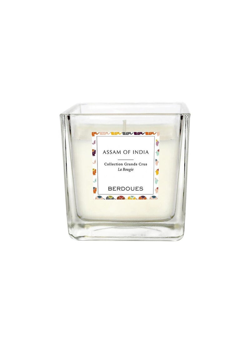 BERDOUES Berdoues Assam Of India Candle 180G  - Image 1