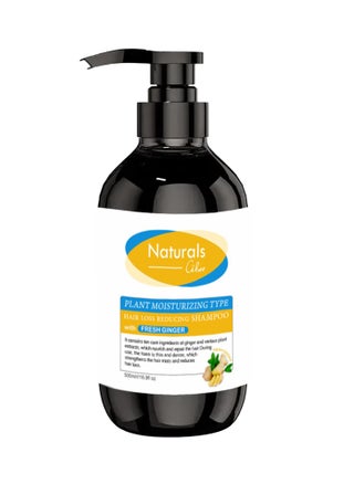 Ginger shampoo to reduce hair loss - pzsku/ZBFB92E222F53696B851FZ/45/_/1733234774/21d07d3b-70ff-445f-9de8-02e5d1236154