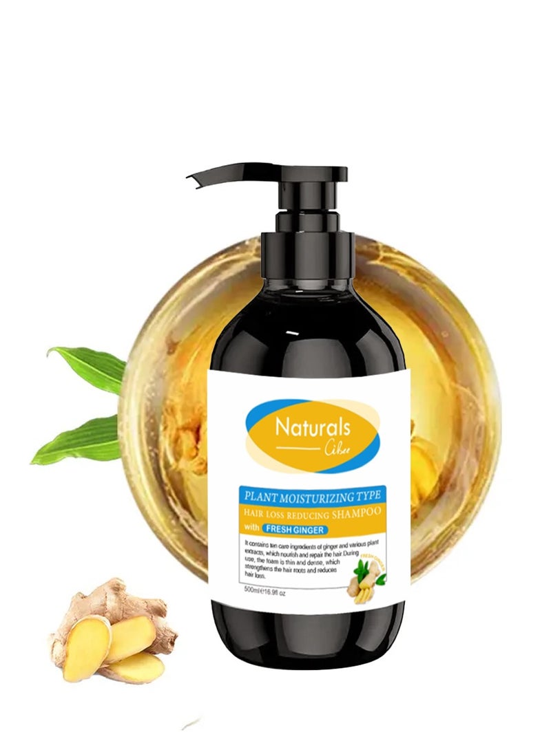 NATURALS - Ginger shampoo to reduce hair loss - Image 1