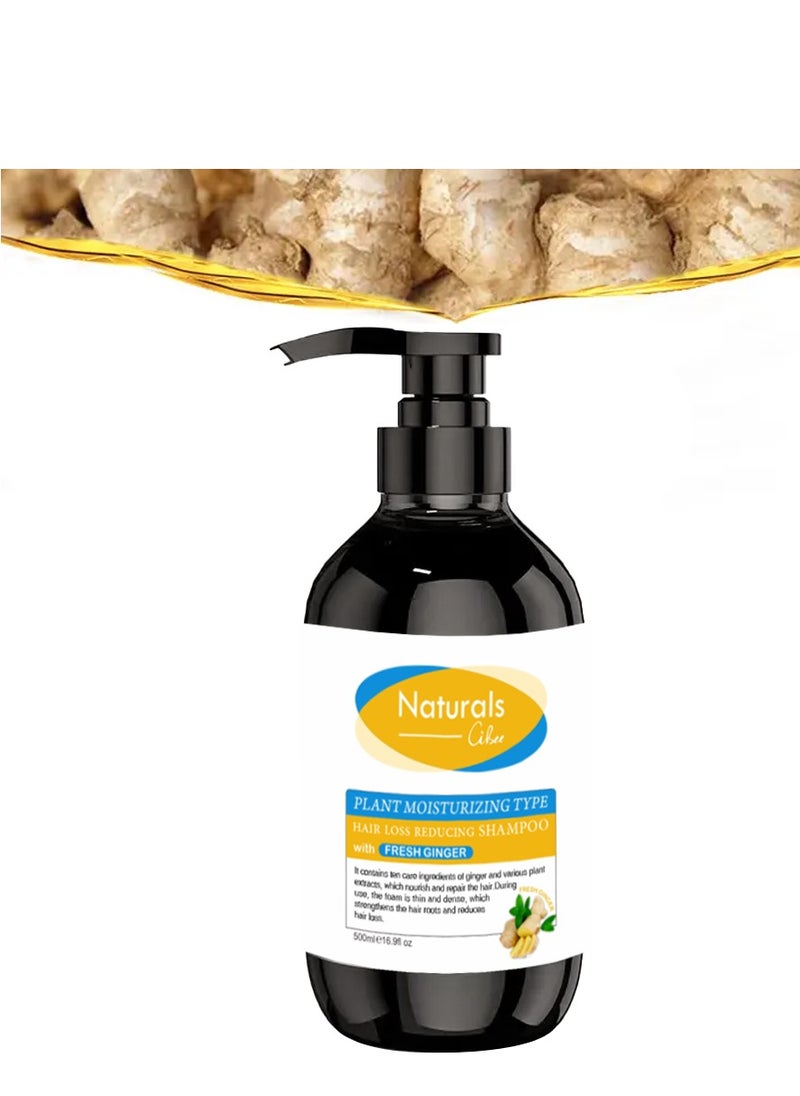 NATURALS - Ginger shampoo to reduce hair loss - Image 1