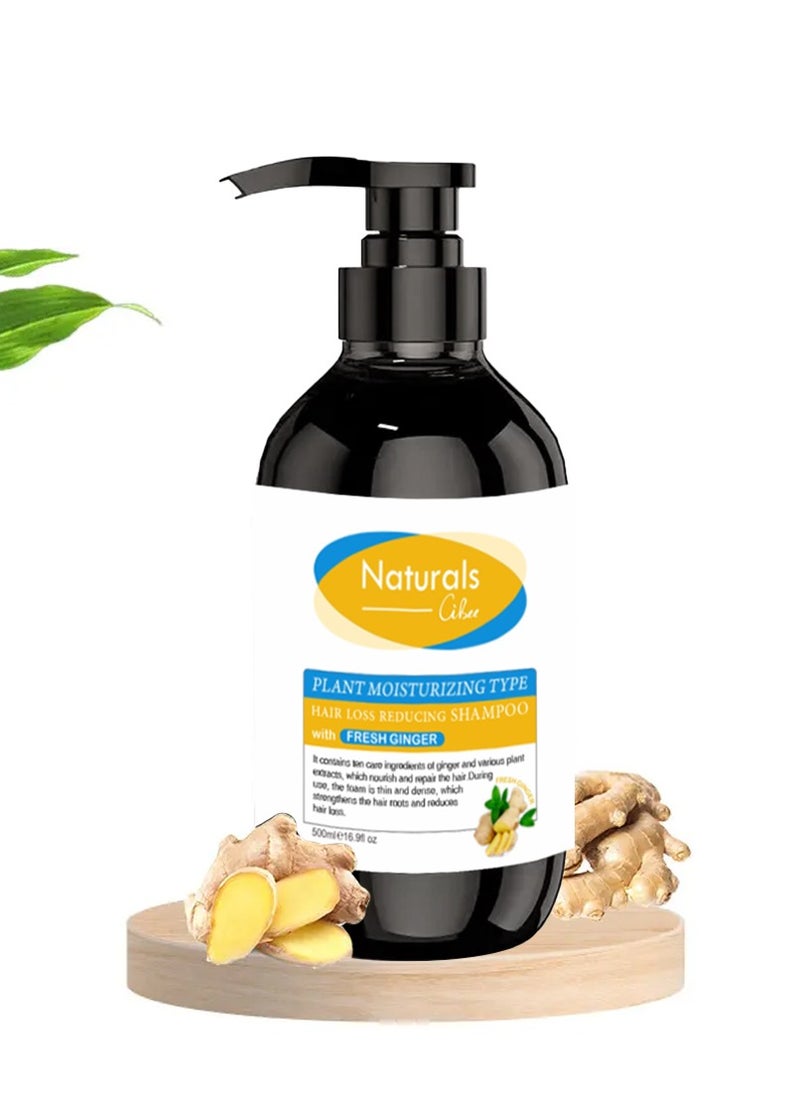NATURALS - Ginger shampoo to reduce hair loss - Image 1