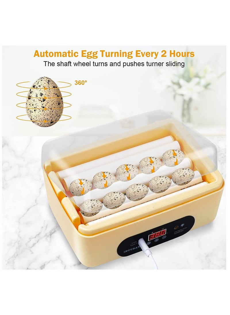 Generic - Egg Incubator with Automatic Egg Turning Temperature Control Humidity Display, Small Digital Egg Hatcher for Hatching Chicken Birds Quail Duck - Image 1