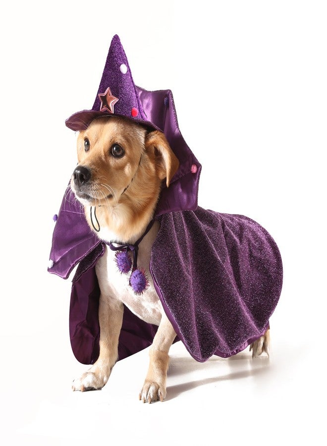 موغوكو زي تنكري للكلاب من موغوكو، عبارة عن عباءة ساحرة وقبعة باللون الأرجواني، مناسب للحيوانات الأليفة، زي ساحر للكلاب والقطط، ملابس تنكرية. - Image 2