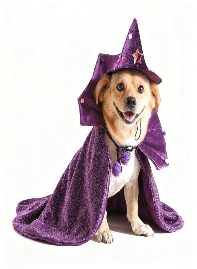 موغوكو زي تنكري للكلاب من موغوكو، عبارة عن عباءة ساحرة وقبعة باللون الأرجواني، مناسب للحيوانات الأليفة، زي ساحر للكلاب والقطط، ملابس تنكرية. - Image 1