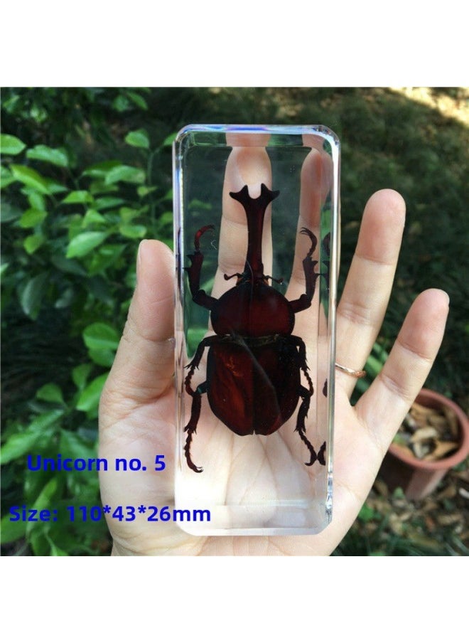Insect Specimen Real Mono Fairy Amber Scarab Book Town Home Desk Decoration Mantis Spider Scorpion Factory-Color:Hairy Spider No. 4  - Image 3