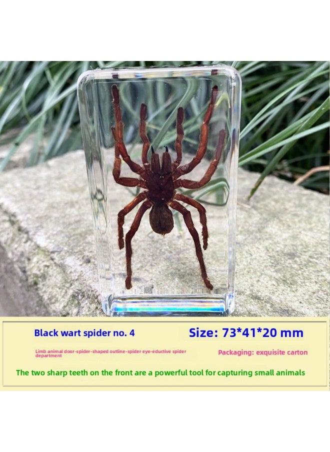 Insect Specimen Real Mono Fairy Amber Scarab Book Town Home Desk Decoration Mantis Spider Scorpion Factory-Color:Hairy Spider No. 4  - Image 1