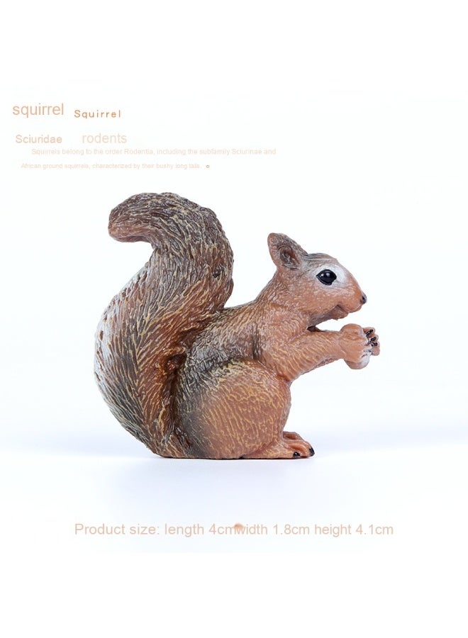 NIBEMINENT Realistic Zoo Model Squirrel and Chinchilla Cognitive Toy