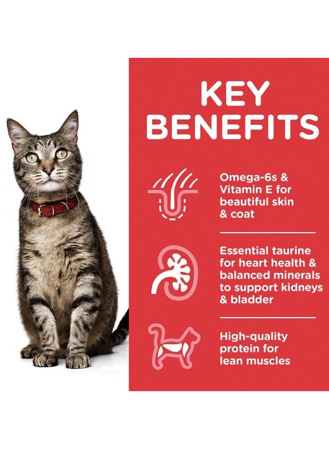 Hills Adult 1–6 Dry Cat Food – Salmon Recipe for Adult Cats – Supports Immunity, Healthy Digestion & Lean Muscles – 1.5kg - Image 3
