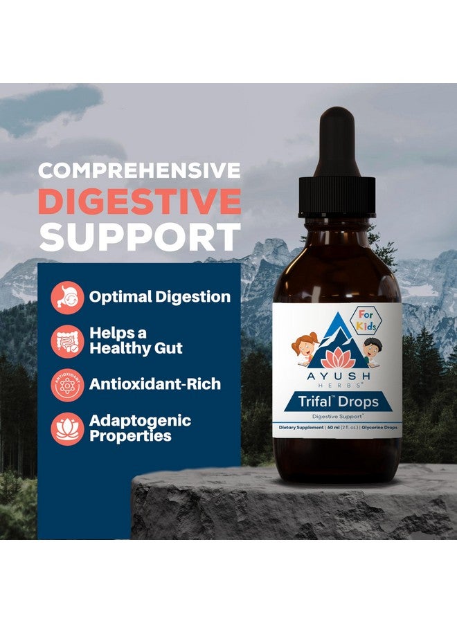 Ayush Herbs Trifal Drops - Digestive & Immune Wellness Booster for Kids, Kids Alcohol Free Digestive Support Drops with Amla for Toddlers, Children - 2 FL Oz Dropper Bottle (80 Servings) - Image 2