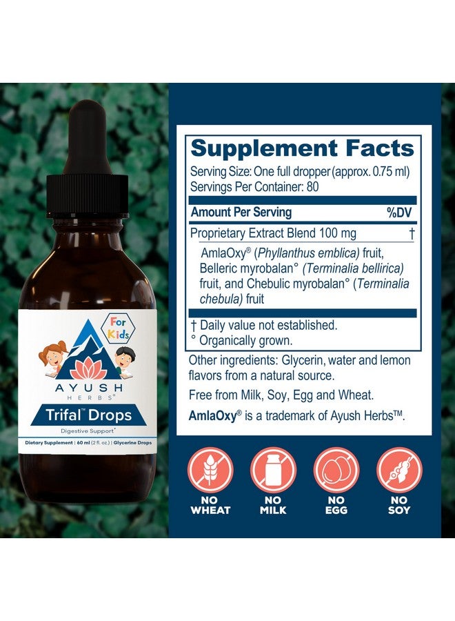 Ayush Herbs Trifal Drops - Digestive & Immune Wellness Booster for Kids, Kids Alcohol Free Digestive Support Drops with Amla for Toddlers, Children - 2 FL Oz Dropper Bottle (80 Servings) - Image 3