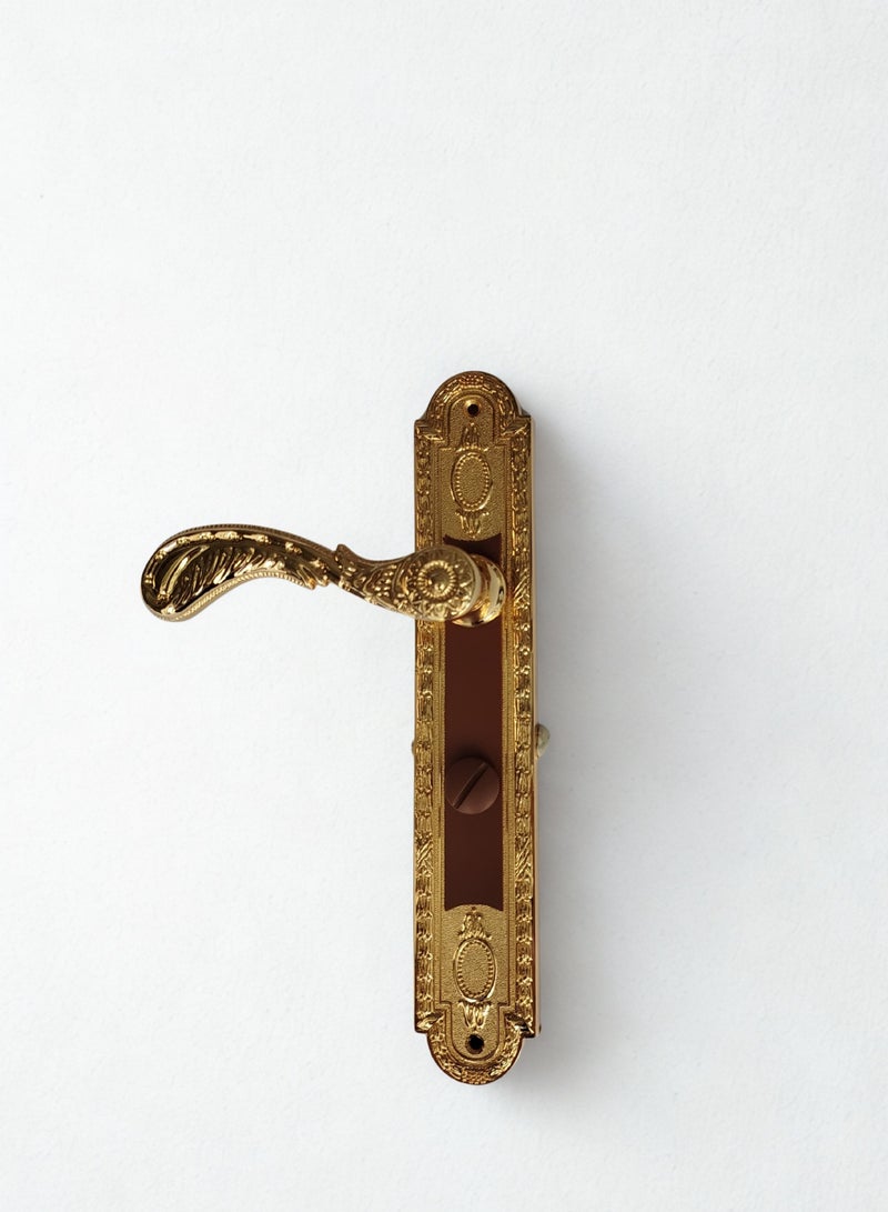 Siag Bathroom Door Handle - Image 2