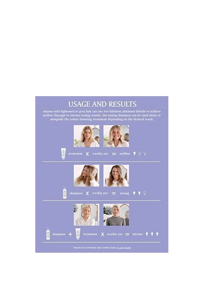 EVO Evo Fabuloso platinum blonde colour boosting treatment 220ml