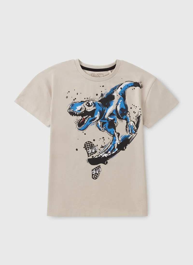 Matalan Boys Stone Dino Skater T-Shirt