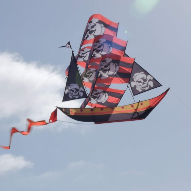 WindNSun Supersize 3D Nylon Kites - Image 5