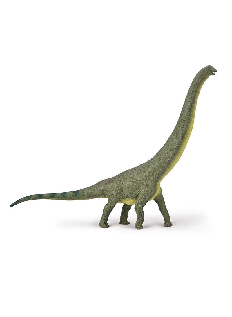 CollectA Collecta - Dreadnoughtus Dinosaur scale 1:100 - 80005 