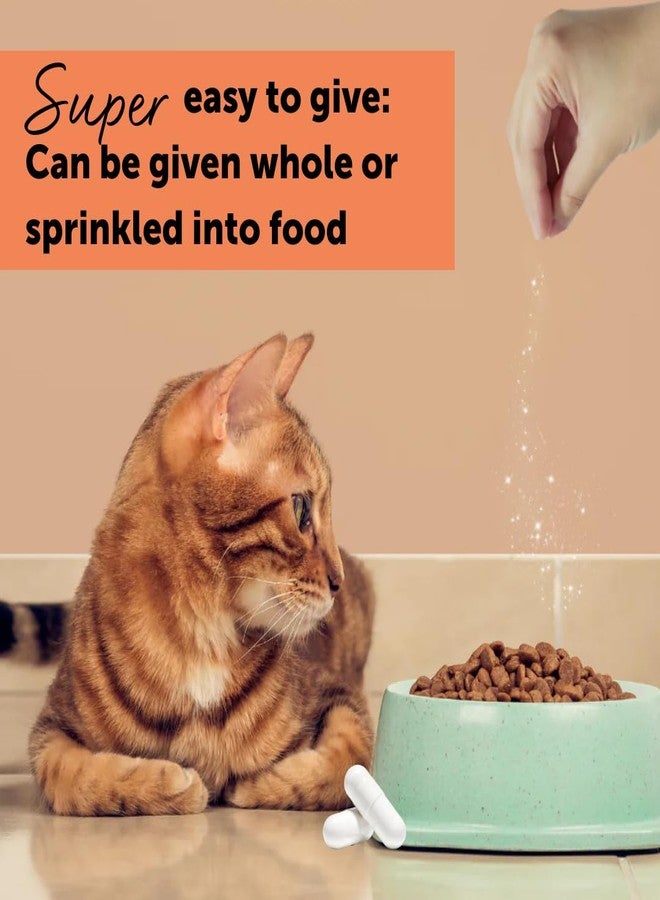 فيليواي سيستيز، دعم متقدم للجهاز البولي للقطط (حجم العبوة: 30 قرصًا) - Image 5