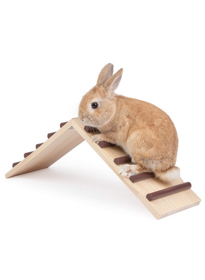 Niteangel Wooden Cage Bridge for Rabbits, Guinea Pigs and Chinchilla, Large Size - Image 1