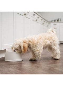 IRIS Usa 44Oz / 1.3L Cat Water Fountain, For Dog & Cat With Two Flow Options Automatic Pet Water Fountain Bowl Silent And Replaceable Charcoal Filter, White  - Image 5