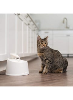 IRIS Usa 44Oz / 1.3L Cat Water Fountain, For Dog & Cat With Two Flow Options Automatic Pet Water Fountain Bowl Silent And Replaceable Charcoal Filter, White  - Image 4
