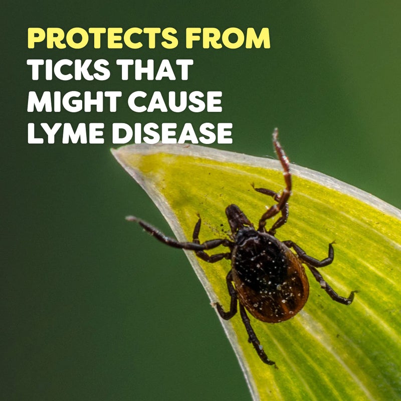 OFF! RaidOFF Off Deep Woods Insect Repellent 6oz (Pack of 3) - Image 4