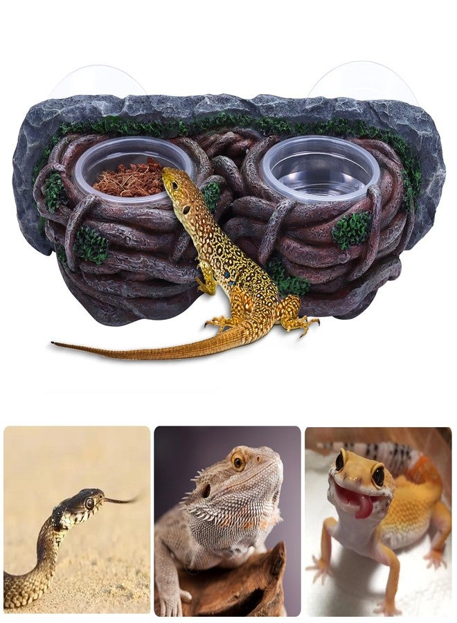 AIICIOO Crested Gecko Feeding Ledge Double Bowl Reptile Vine Food Ledge with 4 PCS Cup Corner Water Bowl for Lizard Snake Bearded Dragon Frog Turtle Terrarium Tank Decor - Image 2