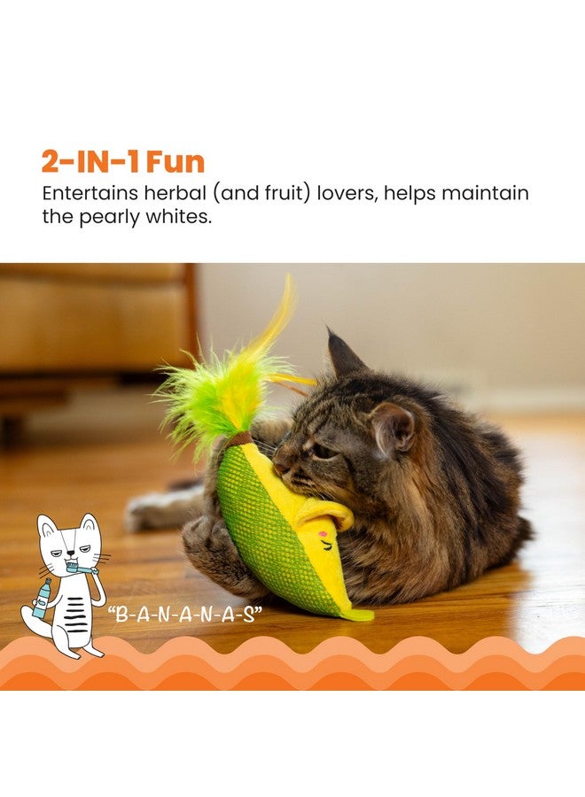 مراحل القطط لعبة كات ستيجز بيلين جود بانانا كيكر للأسنان بنكهة النعناع البري، لون أصفر - Image 2