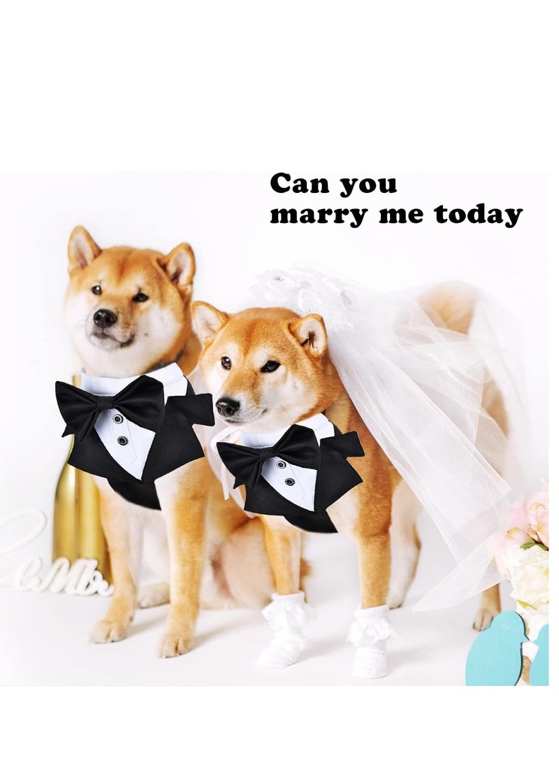 SYOSI حزام توكسيدو للكلاب حزام للكلاب المتوسطة مع حبل حفل زفاف الكلاب ملابس رسمية للكلاب الصغيرة توكسيدو للكلاب ملابس حفل زفاف للكلب توكسيدو صغير للكلب ملابس للكلب حفل زفاف للكلب - Image 2