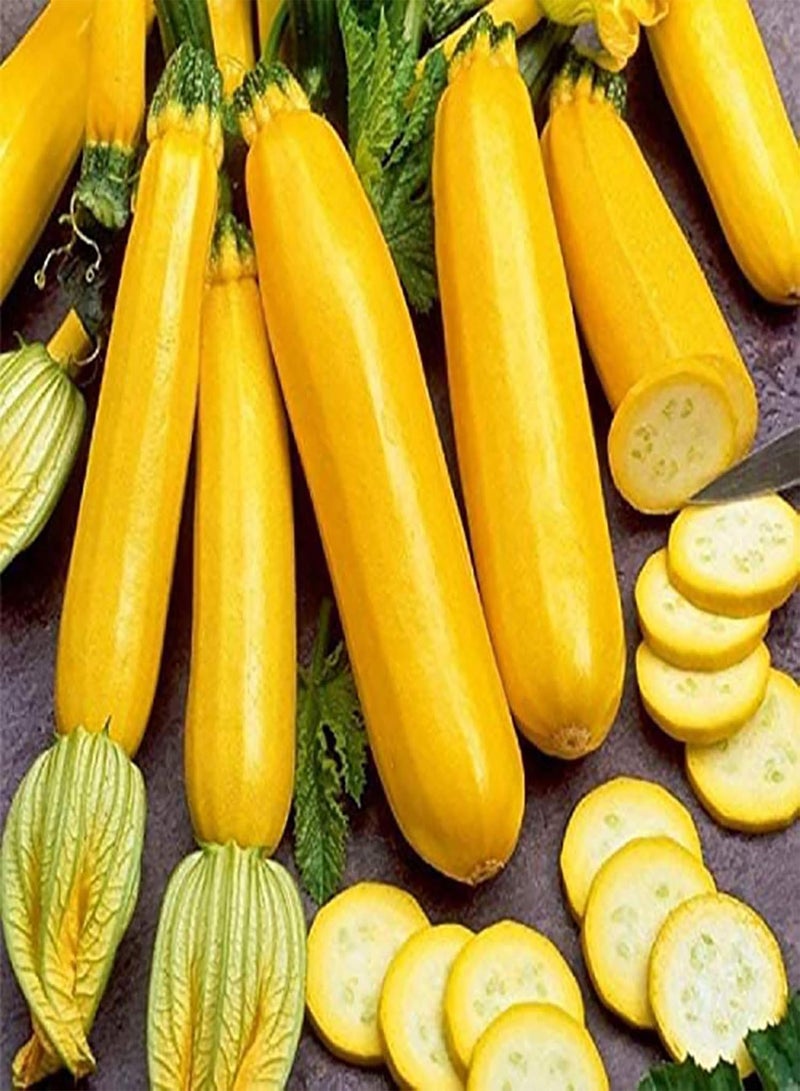 GGOOT 100Pcs Mix Zucchini Seeds Courtyard Mini Squash Fresh Gourd Sweet Vegetables Plants Seeds for Planting Fruit Vegetable Seeds Zucchini Seeds - Image 4