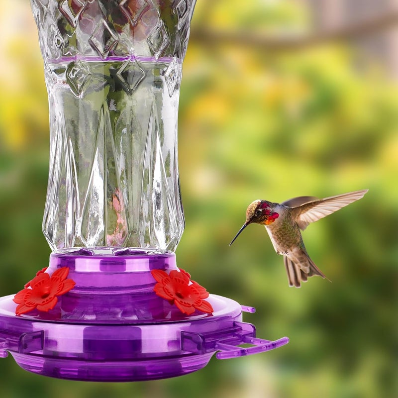 BOLITE Glass Hummingbird Feeders for Outdoors Hanging, Built-in Ant Moat, 4 Bee Guard Feeding Ports with Perches, Leak Proof, 15 Ounces, Stars Decor, Purple, Gifts for Women Men, Gifts for Mom Dad - Image 3