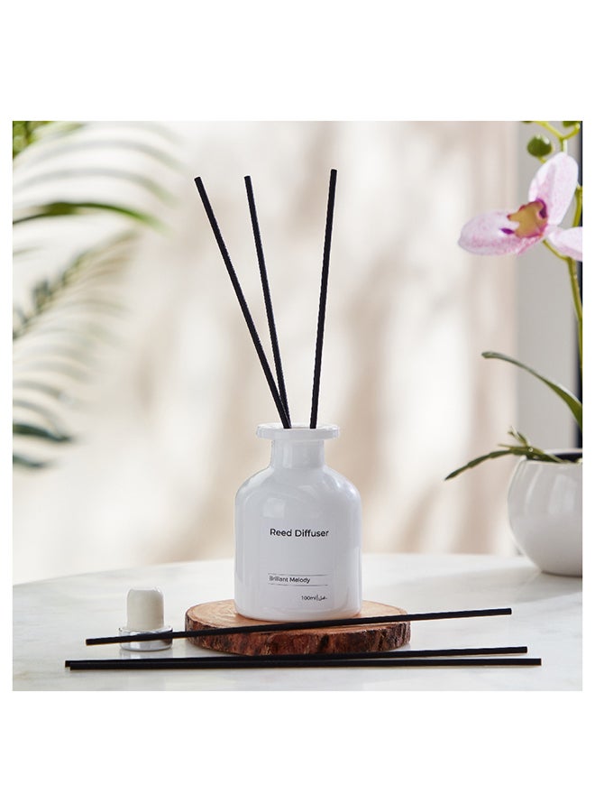 Home Box Balmy Brillant Melody Reed Diffuser 100 ml  - Image 1
